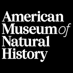 americanmuseum